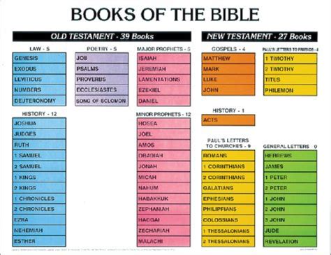 What are the First Five Books of the Bible Called? - An Insight into the Holy Scriptures